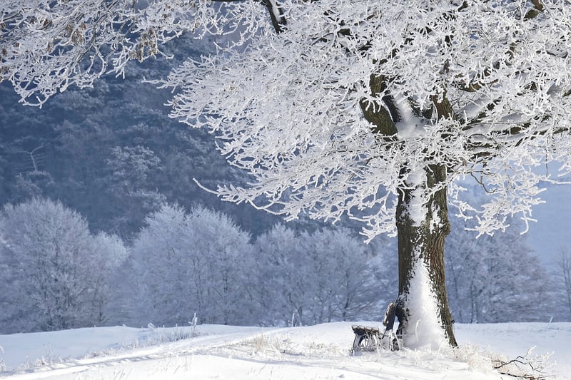 Woman walking in the forest